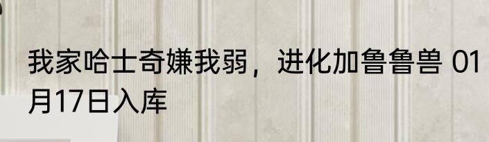 我家哈士奇嫌我弱，进化加鲁鲁兽 01月17日入库