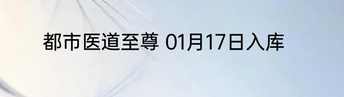 都市医道至尊 01月17日入库