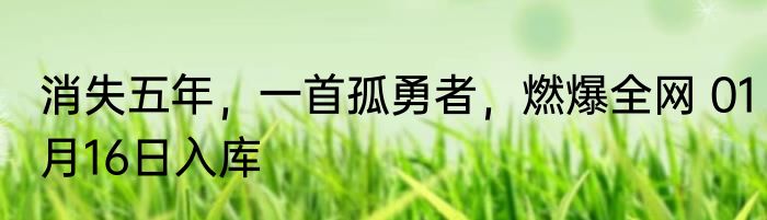 消失五年，一首孤勇者，燃爆全网 01月16日入库