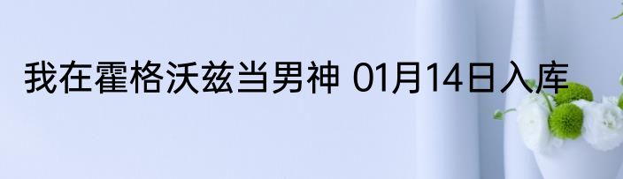 我在霍格沃兹当男神 01月14日入库