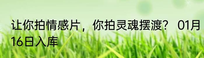 四维民宿：人间闪现神器 01月17日入库