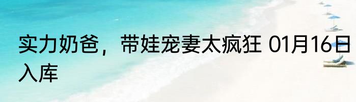 实力奶爸，带娃宠妻太疯狂 01月16日入库