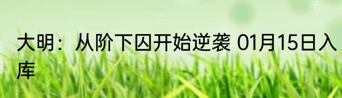 大明：从阶下囚开始逆袭 01月15日入库