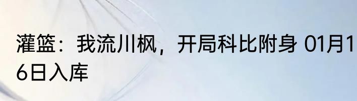 灌篮：我流川枫，开局科比附身 01月16日入库