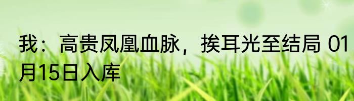 我：高贵凤凰血脉，挨耳光至结局 01月15日入库
