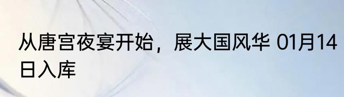 从唐宫夜宴开始，展大国风华 01月14日入库