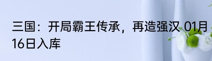 三国：开局霸王传承，再造强汉 01月16日入库
