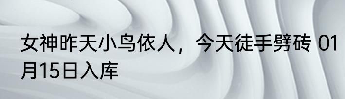 女神昨天小鸟依人，今天徒手劈砖 01月15日入库