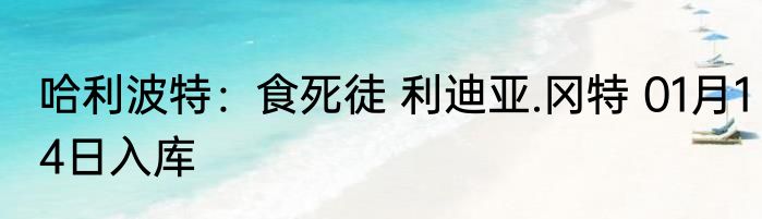 哈利波特：食死徒 利迪亚.冈特 01月14日入库