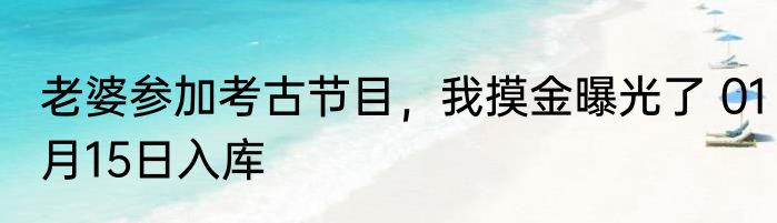 老婆参加考古节目，我摸金曝光了 01月15日入库