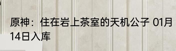 原神：住在岩上茶室的天机公子 01月14日入库