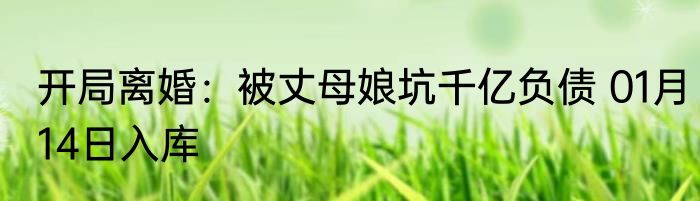 开局离婚：被丈母娘坑千亿负债 01月14日入库