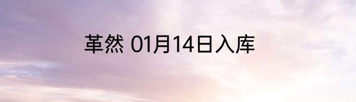 革然 01月14日入库