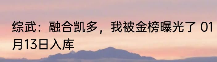 综武：融合凯多，我被金榜曝光了 01月13日入库