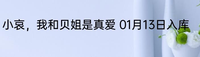 小哀，我和贝姐是真爱 01月13日入库