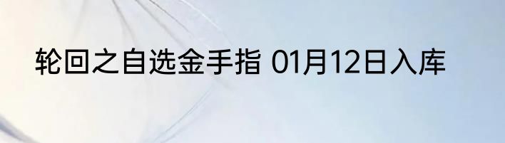 轮回之自选金手指 01月12日入库
