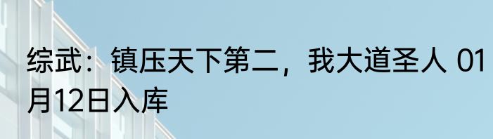 综武：镇压天下第二，我大道圣人 01月12日入库