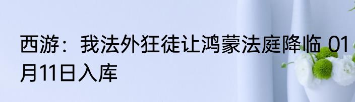 西游：我法外狂徒让鸿蒙法庭降临 01月11日入库