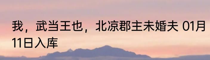 我，武当王也，北凉郡主未婚夫 01月11日入库