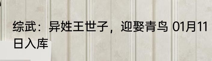 综武：异姓王世子，迎娶青鸟 01月11日入库