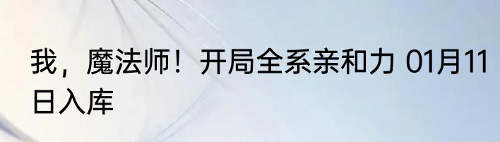 我，魔法师！开局全系亲和力 01月11日入库