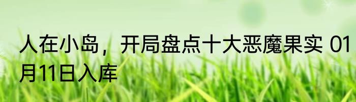 人在小岛，开局盘点十大恶魔果实 01月11日入库
