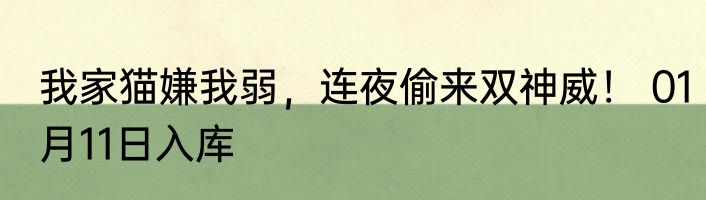 我家猫嫌我弱，连夜偷来双神威！ 01月11日入库