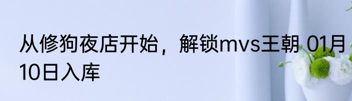 从修狗夜店开始，解锁mvs王朝 01月10日入库