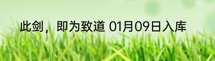 此剑，即为致道 01月09日入库
