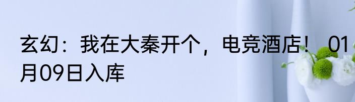 玄幻：我在大秦开个，电竞酒店！ 01月09日入库