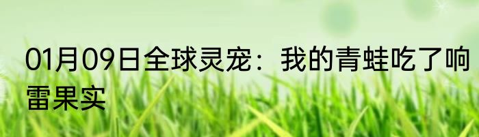 01月09日全球灵宠：我的青蛙吃了响雷果实
