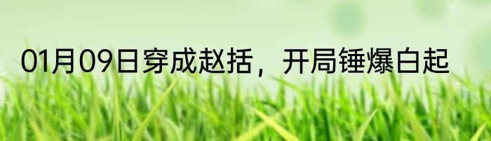 01月09日穿成赵括，开局锤爆白起