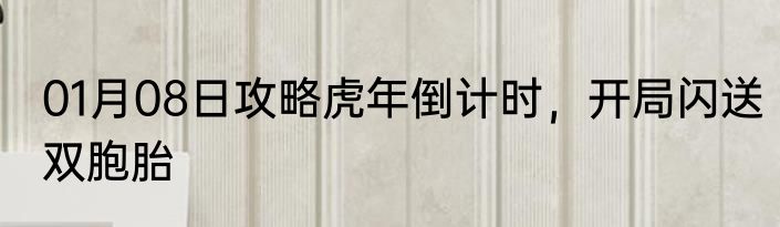 01月08日攻略虎年倒计时，开局闪送双胞胎