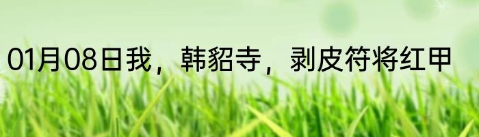 01月08日我，韩貂寺，剥皮符将红甲