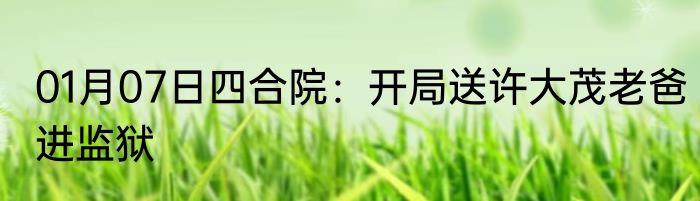 01月07日四合院：开局送许大茂老爸进监狱