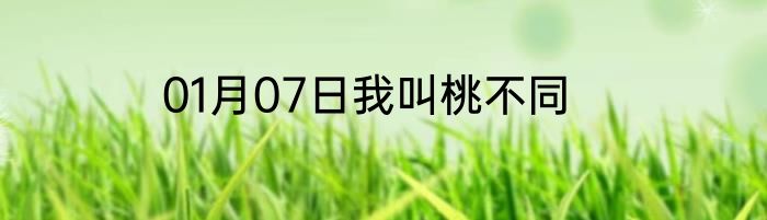 01月07日我叫桃不同