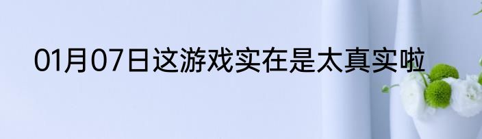 01月07日这游戏实在是太真实啦