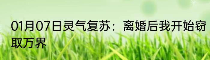01月07日灵气复苏：离婚后我开始窃取万界