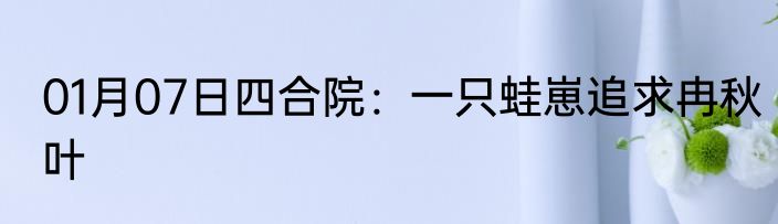 01月07日四合院：一只蛙崽追求冉秋叶