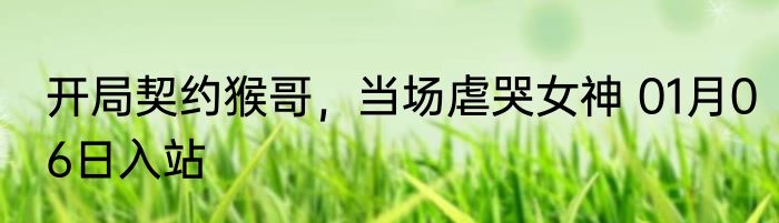 开局契约猴哥，当场虐哭女神 01月06日入站