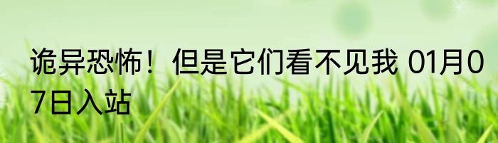 诡异恐怖！但是它们看不见我 01月07日入站