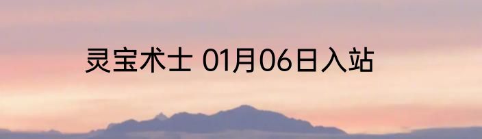 灵宝术士 01月06日入站