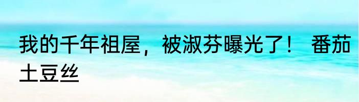 我的千年祖屋，被淑芬曝光了！ 番茄土豆丝