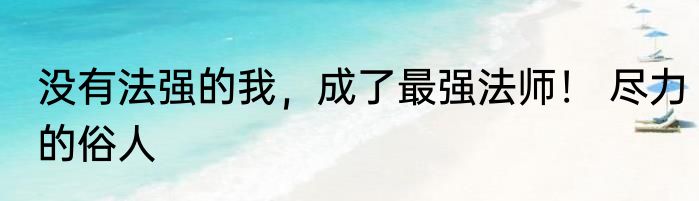 没有法强的我，成了最强法师！ 尽力的俗人