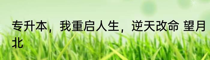 专升本，我重启人生，逆天改命 望月北