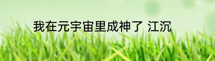 我在元宇宙里成神了 江沉