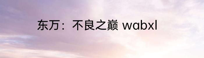 东万：不良之巅 wabxl