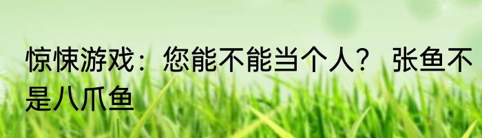 惊悚游戏：您能不能当个人？ 张鱼不是八爪鱼