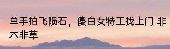 单手拍飞陨石，傻白女特工找上门 非木非草