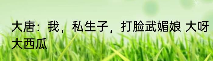 大唐：我，私生子，打脸武媚娘 大呀大西瓜